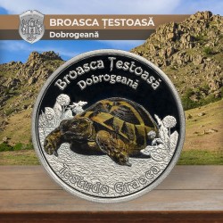 Broasca țestoasă dobrogeană Broasca țestoasă dobrogeană