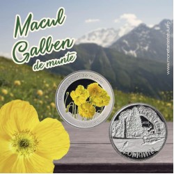 Macul galben de munte (Papaver alpinum)