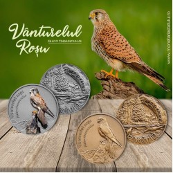 Vânturelul roşu (Falco tinnunculus)