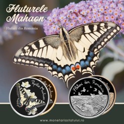 Fluture Papilio machaon - Fluturele Mahaon Fluture Papilio machaon - Fluturele Mahaon