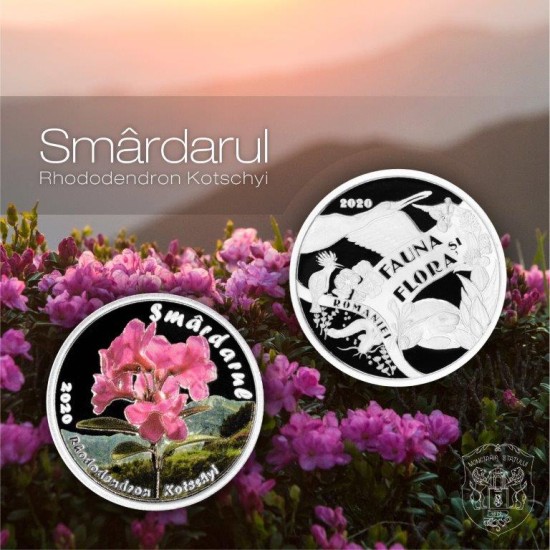 Smârdarul Smârdarul